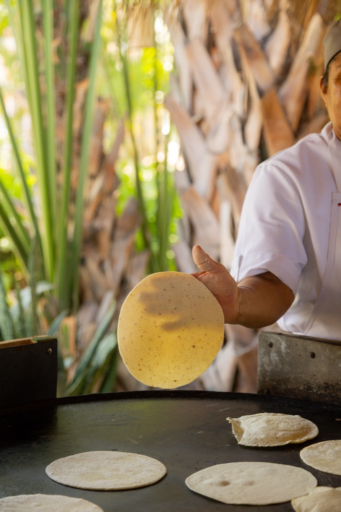 Freshly made tortillas